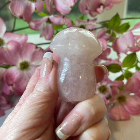 Rose Quartz Mushroom Crystal Healing Reiki - Picture 2 of 2